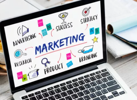 Bachelor Chargé de Marketing et Communication