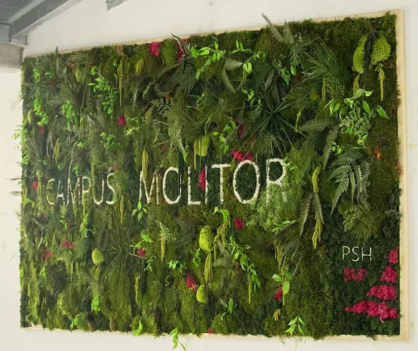 Mur végétal - Molitor