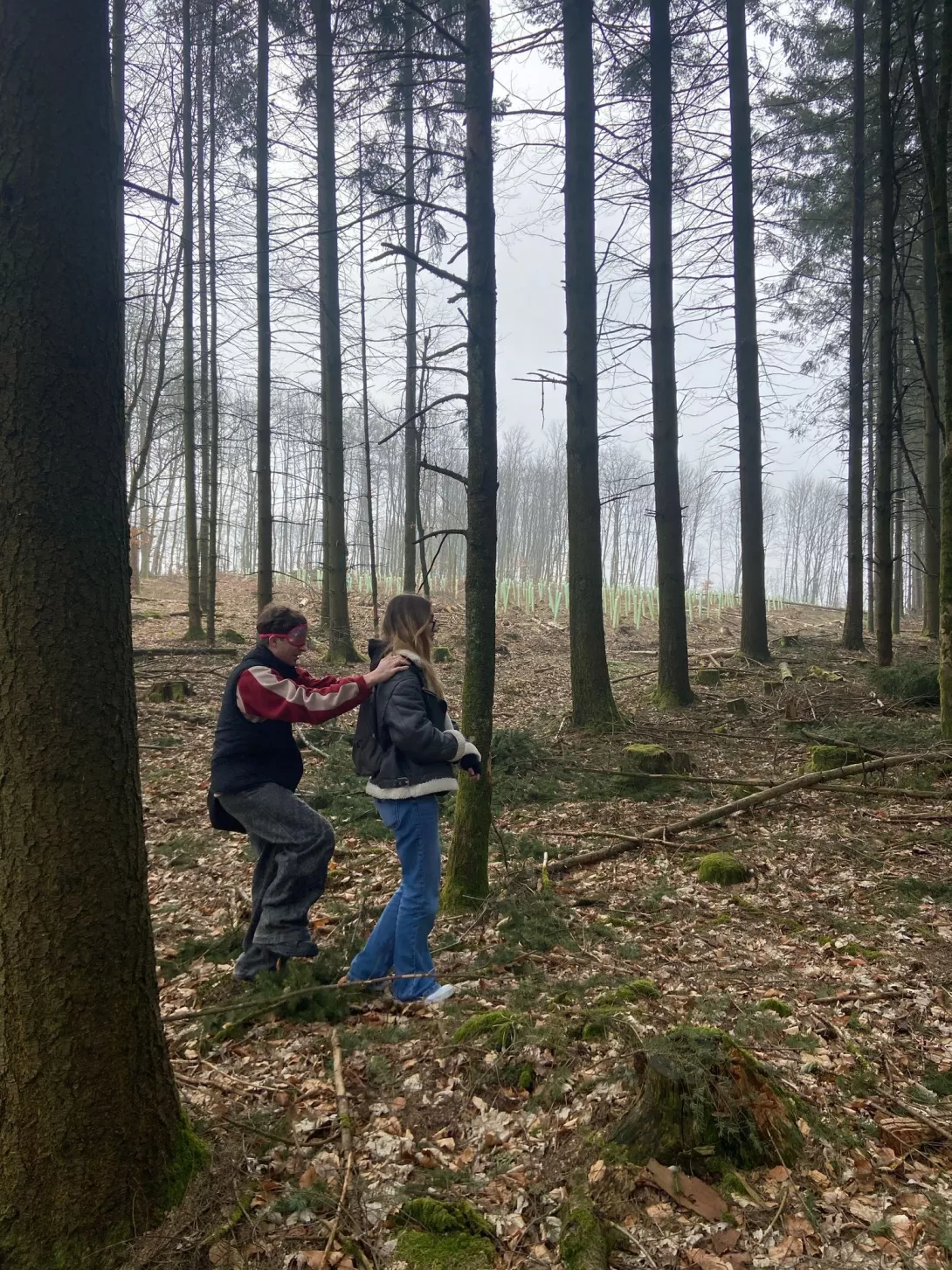 Marienberg 6.JPG Marienberg